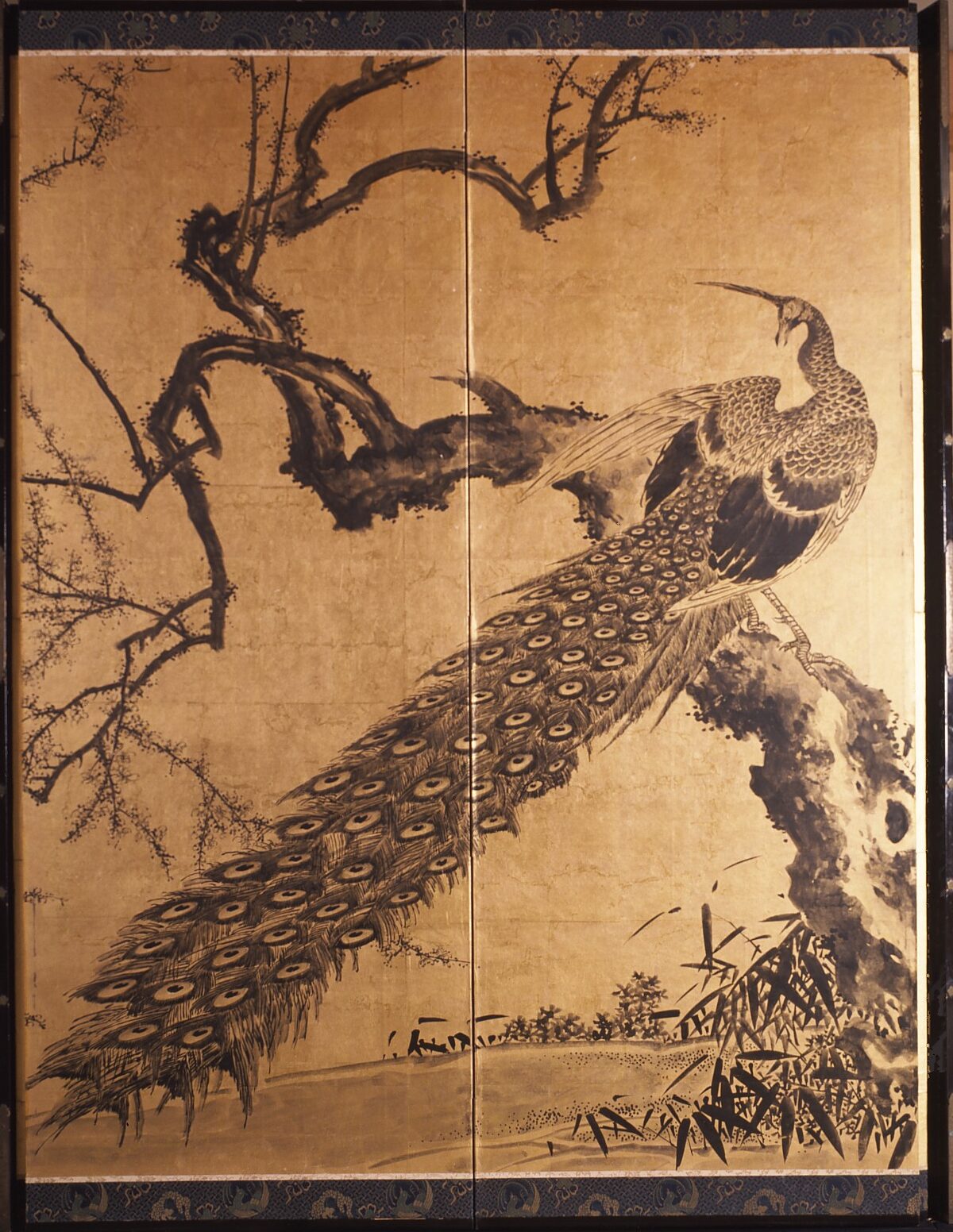 紙本著色松鷲梅孔雀図　熊代熊斐筆　六曲屏風